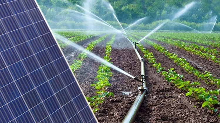 placa solar y sistema de riego